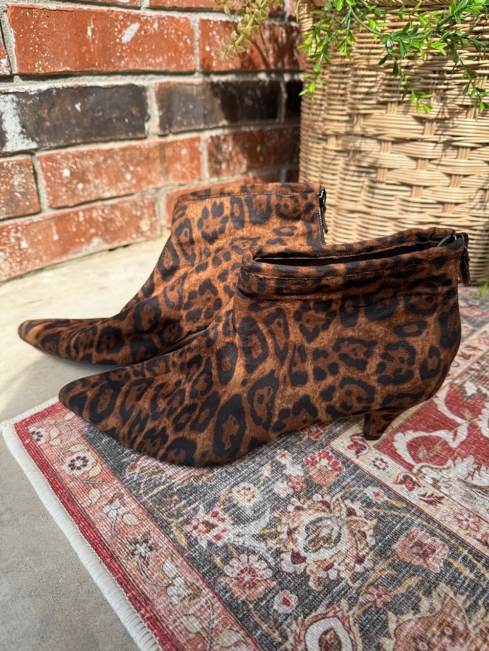 Impo Elba Leopard Booties